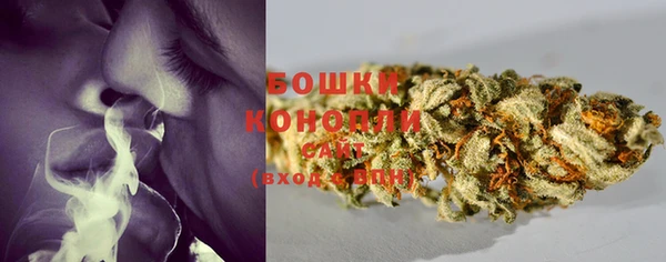 шишки Нягань