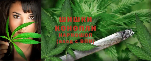шишки Нягань