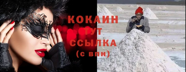 шишки Нягань