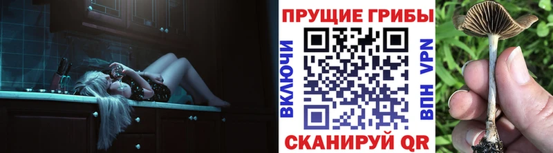 Галлюциногенные грибы GOLDEN TEACHER Якутск
