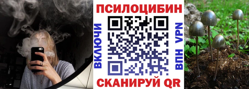 MEGA онион  что такое   Якутск  Галлюциногенные грибы ЛСД 